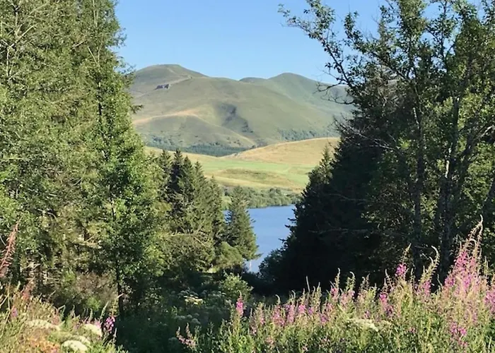 Bel T3 Au Mont-dore Avec Parking Et Wifi - Fr-1-608-240 Mont-Dore