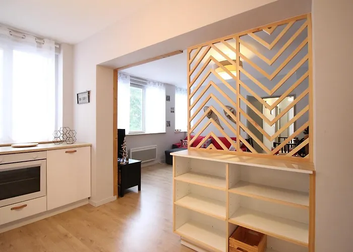 Apartamento Bel T3 Au Mont-dore Avec Parking Et Wifi - Fr-1-608-240 *